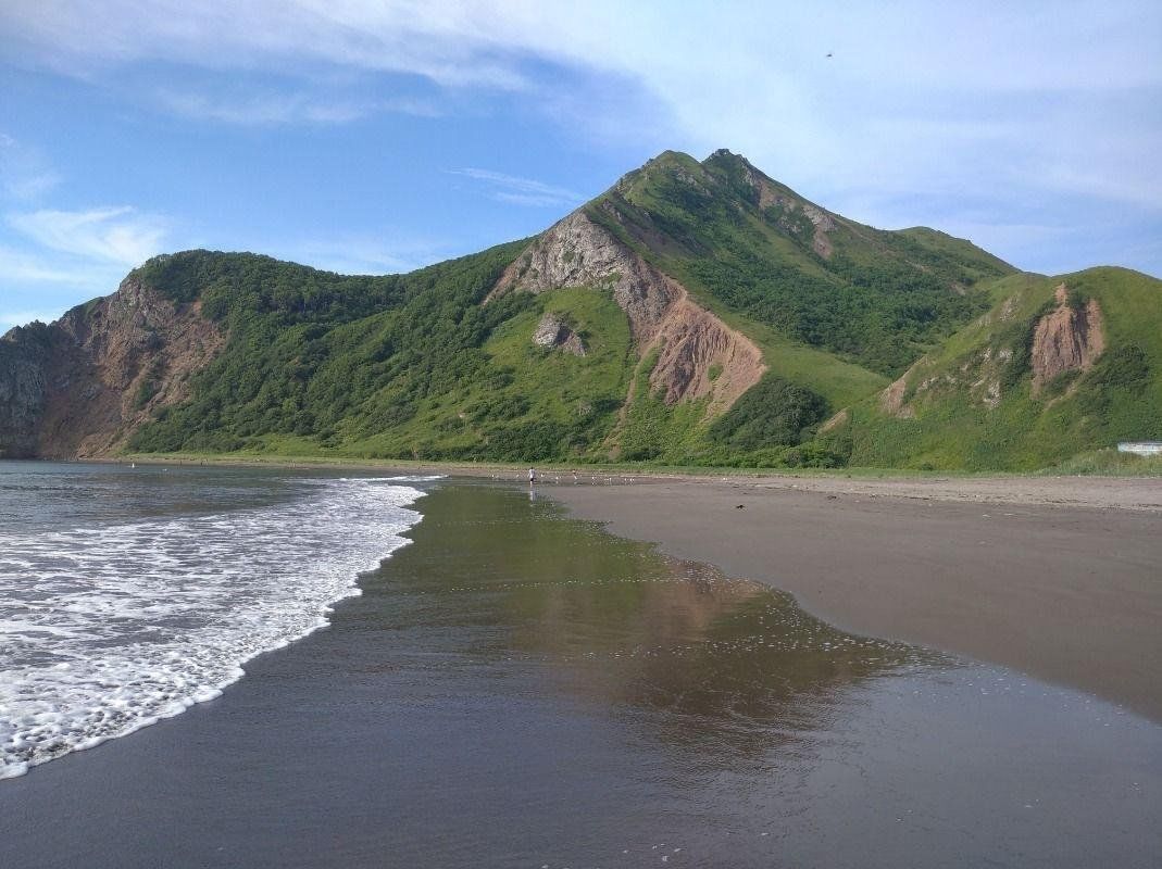 Reference image 1