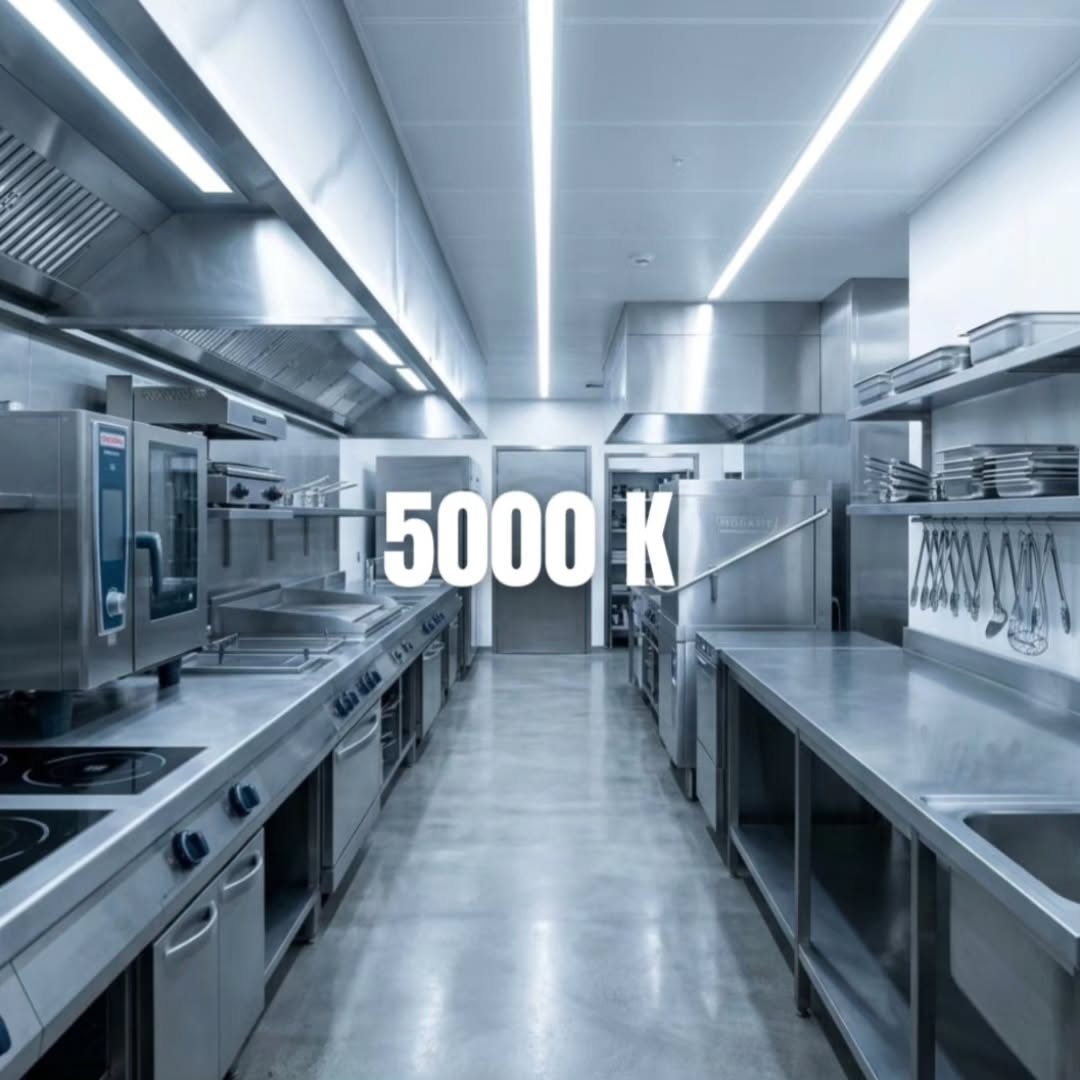 5381868784290831575.jpg