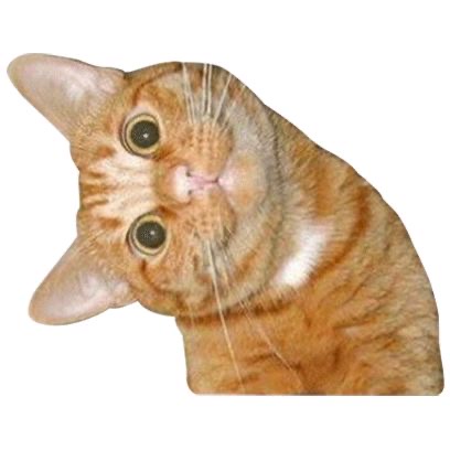 Reference image 1